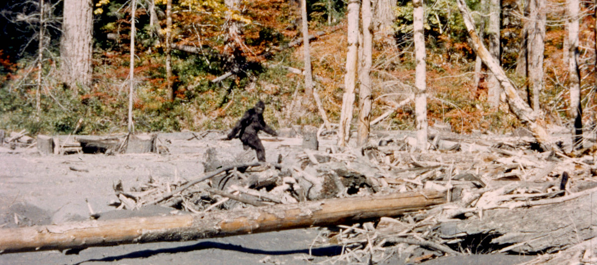 Frame_354